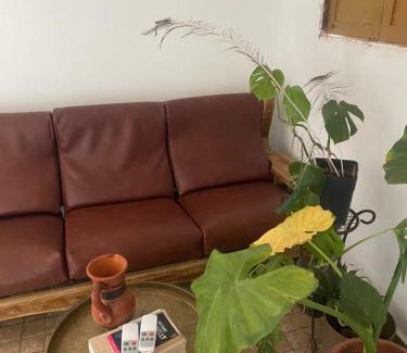 Shoul House | Dar Tawess
