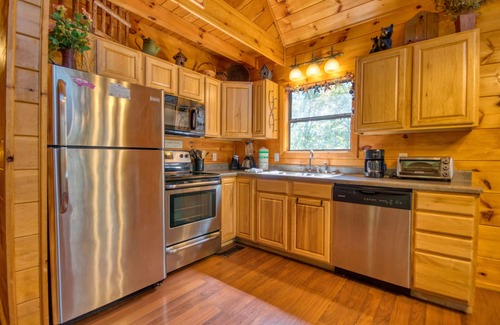 Caton Cabin | Dare To Bear: Are You Ready for a Beary Good Time in the Smokies?