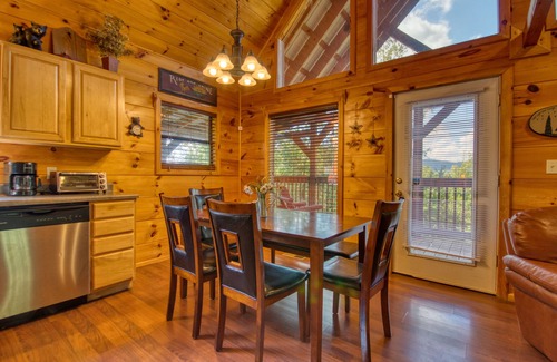 Caton Cabin | Dare To Bear: Are You Ready for a Beary Good Time in the Smokies?