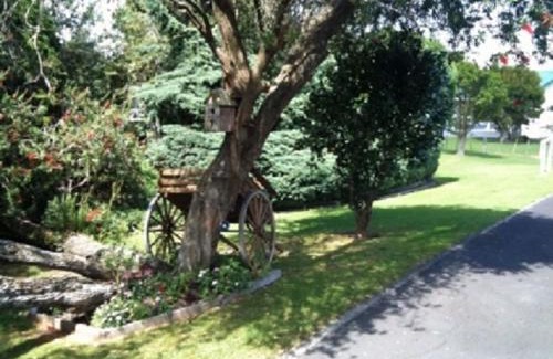 Dargaville Hotel | Dargaville Motel
