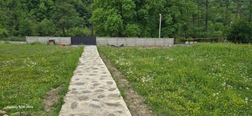Racha-Lechkhumi and Lower Svaneti Apartment | Dariani Cottage
