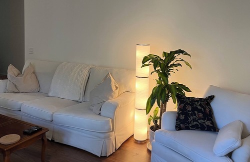 Darien Cottage | Darien, Fort King George area, perfect for 'snowbirds.' 2 bed 2 bath