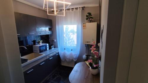 Emanoil Gojdu Apartment | Darlar Loft