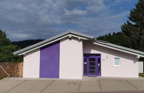 Herrischried House | Das Ferienhaus mit lichtem 85m² Studio