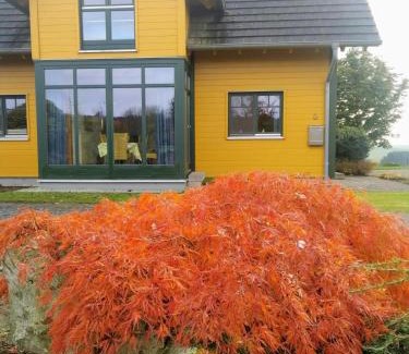 Mastershausen House | Das gelbe Landhaus