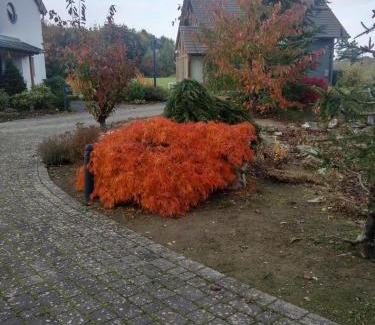 Mastershausen House | Das gelbe Landhaus