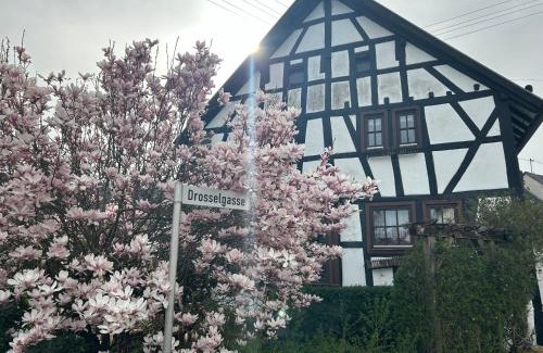 Neunkirchen House | Das Pautzen Haus