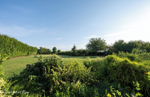 Poseritz House | Das Perfekte Domizil für Ihre Auszeit Inmitten der Natur Finden Sie in Diesem he