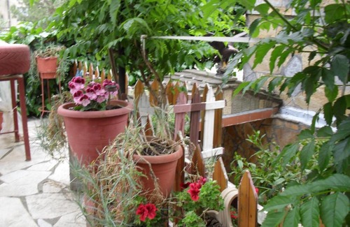 Berat House | Dauti Guesthouse