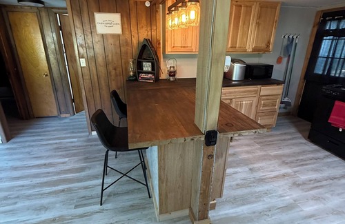 Mozier Cabin | Dave’s River House