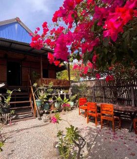 Moyo House | Davi homestay