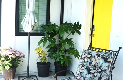 Davis Bay Apartment | Davis Bay suite 1 bed, 1 bath, Air conditioning, gas tiki torches