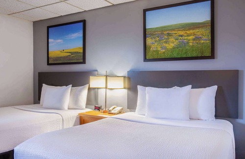 Camrose Hotel | Days Inn & Conference Centre by Wyndham Camrose Norsemen