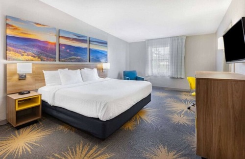 Hollins Hotel | Days Inn I81 king room