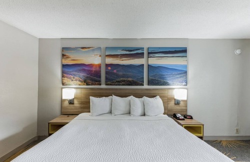 Hollins Hotel | Days Inn I81 king room