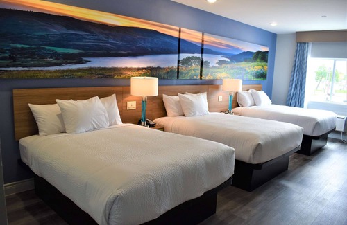 Greater East End Hotel | Days Inn & Suites by Wyndham Downtown/University of Houston