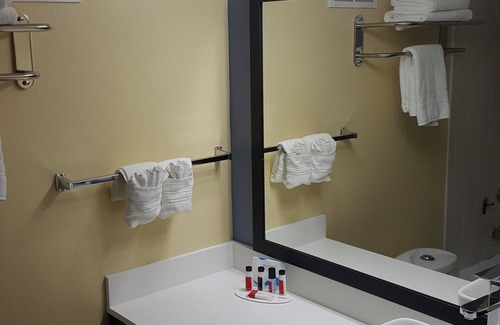 Grand Rapids Hotel | Days Inn & Suites Grand Rapids Near Downtown