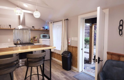 Glenwood Springs Cabin | Dazzling New Remodel+Kitchen #5