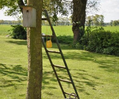 Ruinen Bed & Breakfast | De Beddestee