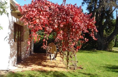 Riversdale Hotel | De Doornkraal Vinotel