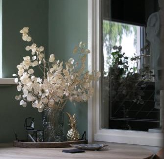 Klazienaveen Bed & Breakfast | De Drie Berken
