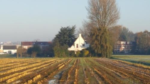 Ijsselmonde Bed & Breakfast | De Gaanderij