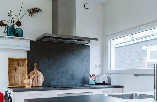 Goedereede Ski Chalet | De Goede Ree 170 luxurious chalet near the North Sea