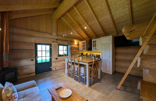 Gross Nemerow Cabin | Log Cabins Naturstamm Ferienhaus Müritz 12 - Feriendorf Tollensesee
