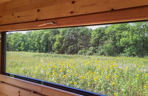Gross Nemerow Cabin | Log Cabins - Naturstammhaus MV Seenplatte 20 - Feriendorf Tollensesee