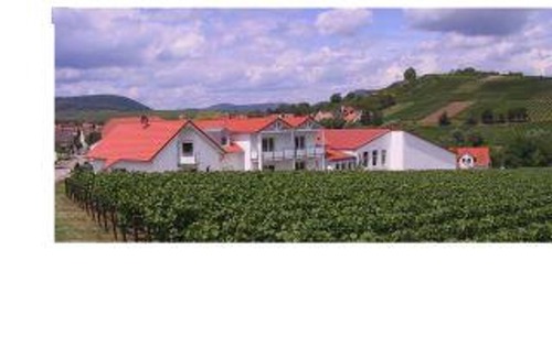 Ilbesheim Bed & Breakfast | 2-bed apartment "2a" - Weingut-Gästehaus Hans Dieter Bosch