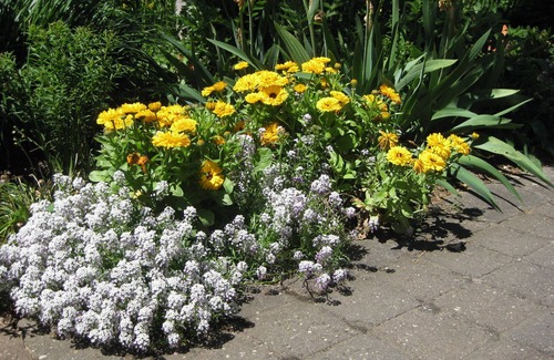 Ilbesheim Apartment | Neucastell vacation apartment with stunning views of the vineyards