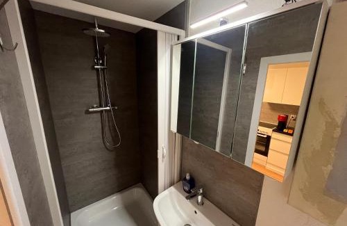 Gailingen Apartment | De Leo
