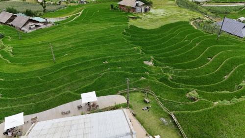 Hau Thao House | DE MONG SAPA