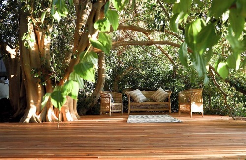 Montagu Apartment | De Nest - Clear glass Tree cabin in Montagu