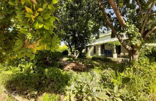 Riebeeck West Bed & Breakfast | De Stoep