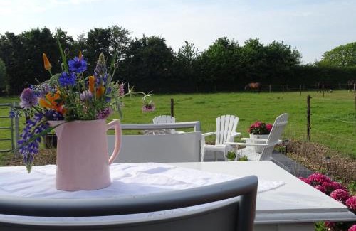 Noordgouwe Bed & Breakfast | de Tulp