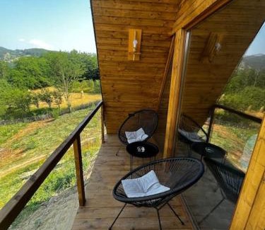 Pui Ski Chalet | Dealu din Vale