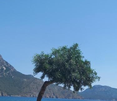 Adrasan Villa | Dedemuem Adrasan