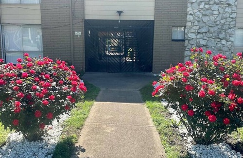 Dallas Apartment | Deep Ellum Lakewood 1 bedroom Apartment