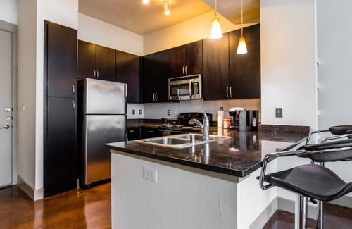 Deep Ellum Apartment | Deep Ellum Luxury Condo #2