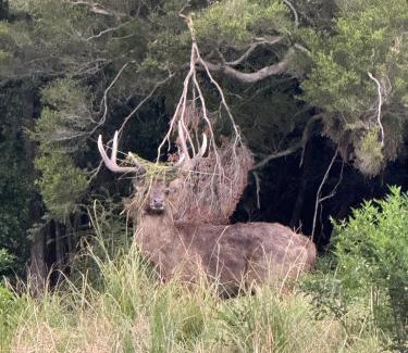 Kembla Grange House | Deer Valley Farm Stay Illawarra sleeps up to 9