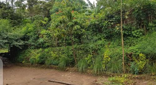 Jinka House | Degu Homestay and tours