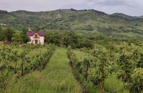 Scortoasa House | Deleni Retreat - Bungalow Ania