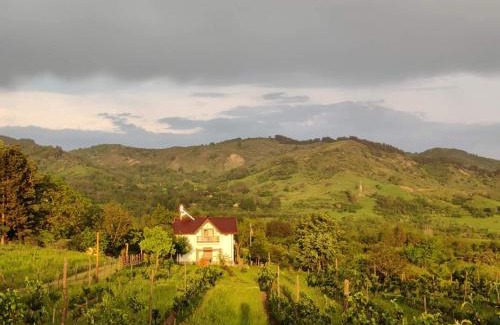 Scortoasa House | Deleni Retreat - Bungalow Ania