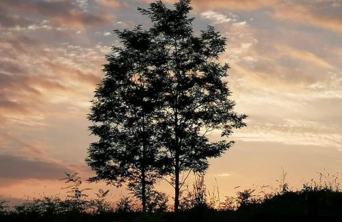 Scortoasa Other | Deleni Retreat - Glamping