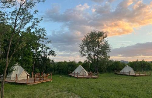 Scortoasa Other | Deleni Retreat - Glamping