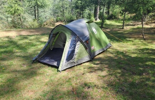 Shimla RV Rental | Delicate camp A