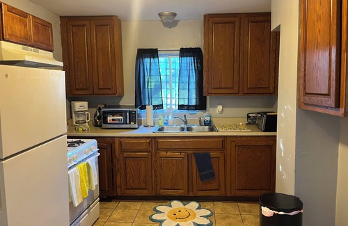 Mount Clemens Apartment | Delightful 1st floor 3-bedroom apartment with WiFi in Mount Clemens