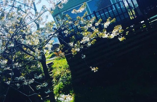Fence Other | Delightful 3 bedroom holiday home with balcony overlooking fields and a stream