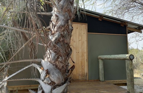 Maun RV Rental | Delightful campsite in nature between Maun & Moremi